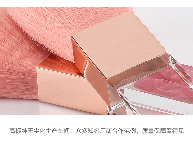 麻豆回家视频区一区二